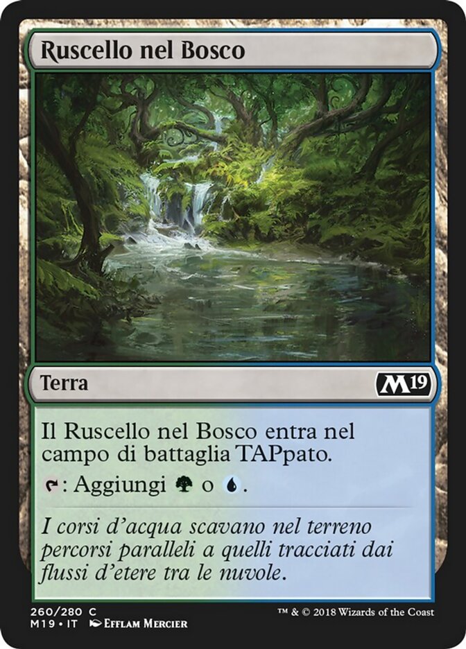 Ruscello nel Bosco