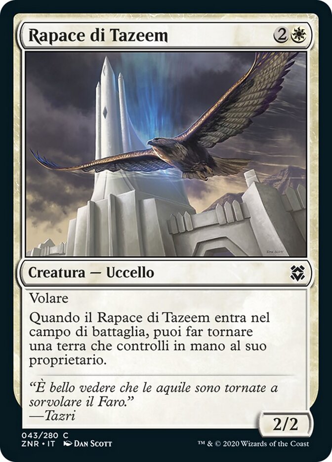 Rapace di Tazeem