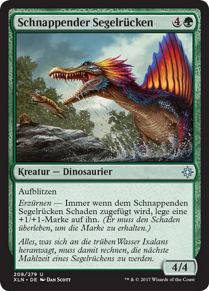 Schnappender Segelrücken
