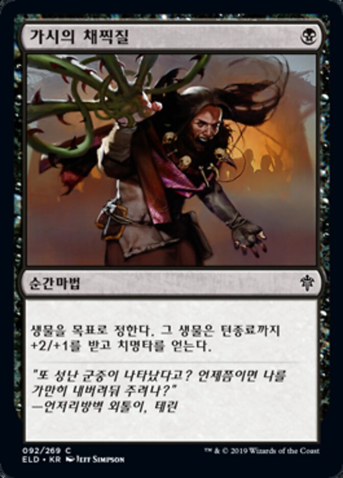 가시의 채찍질
