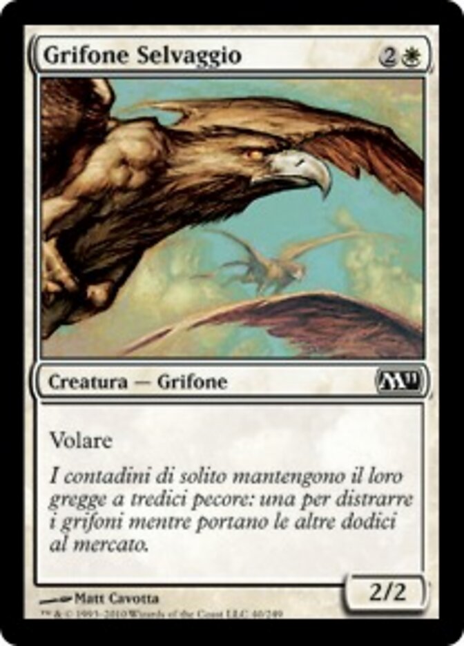Grifone Selvaggio