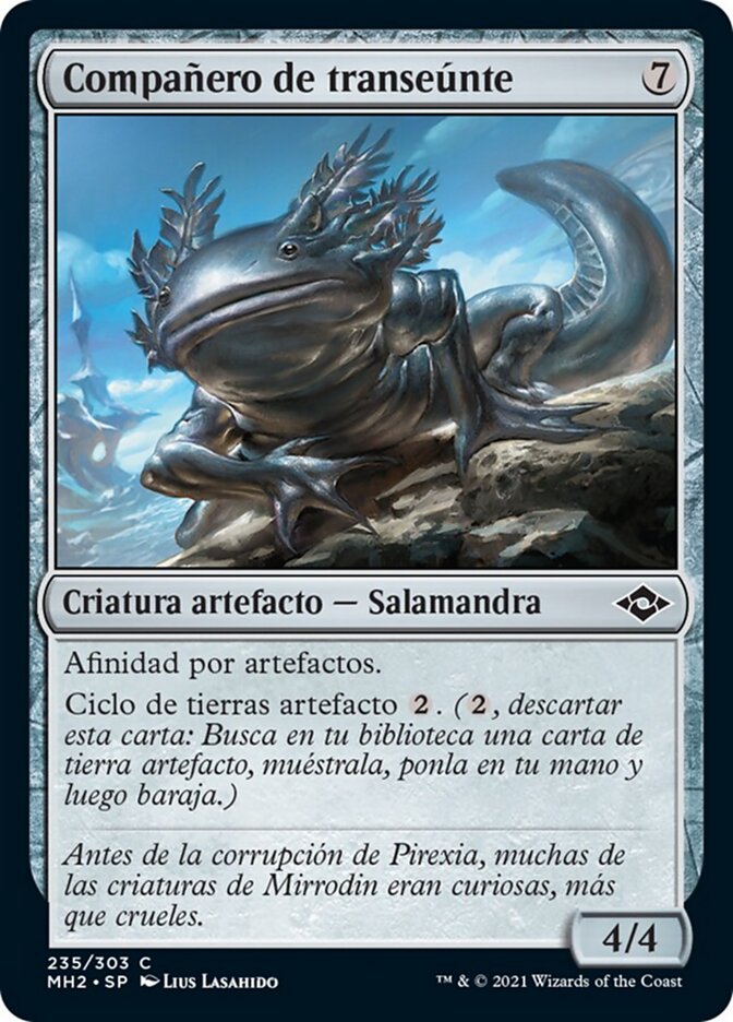 Compañero de transeúnte