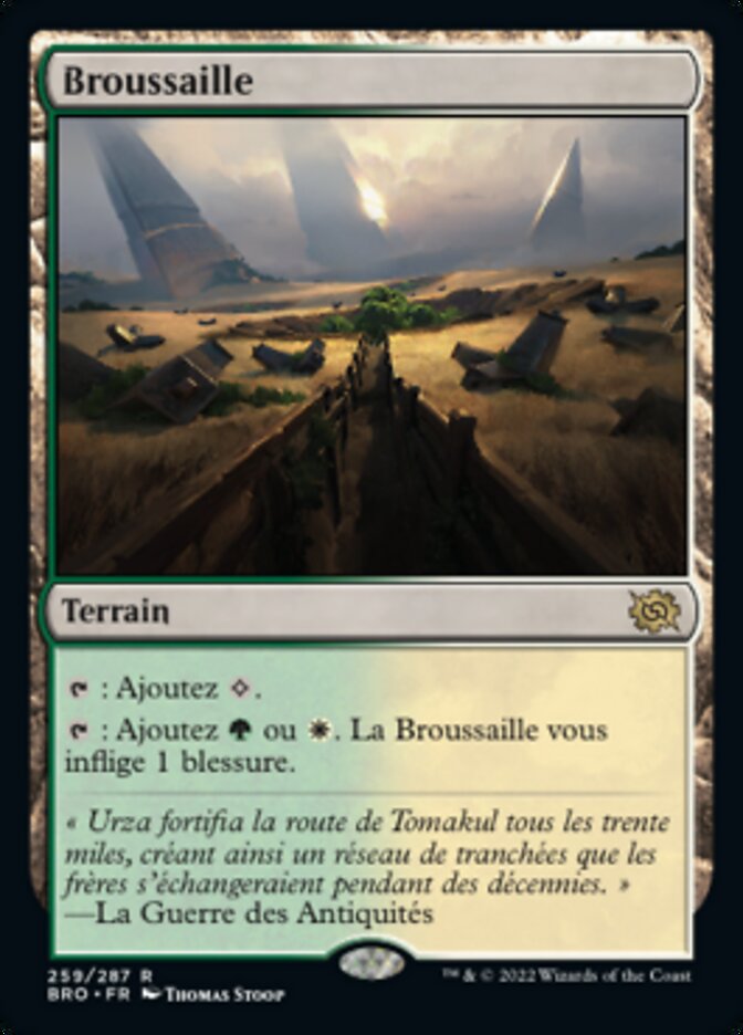 Broussaille