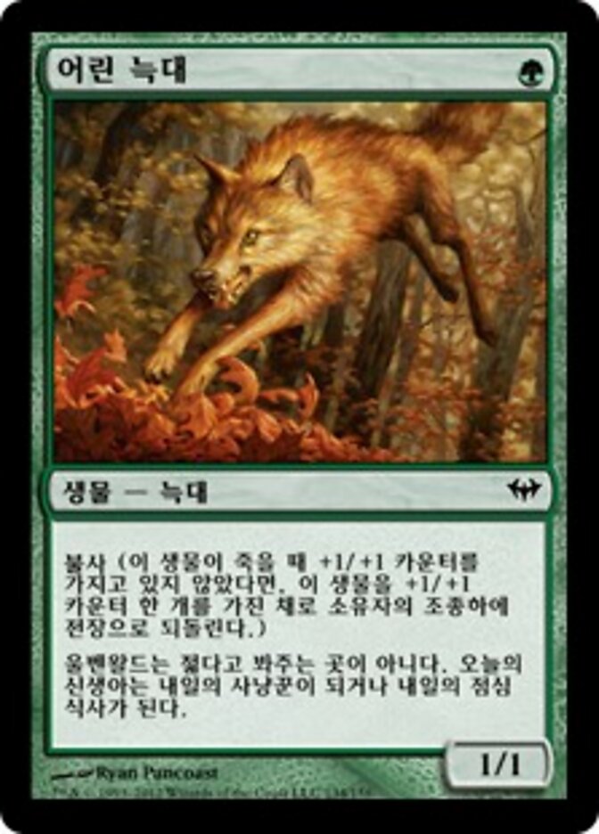 어린 늑대