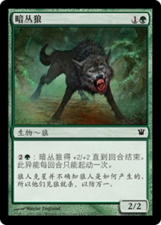 暗丛狼
