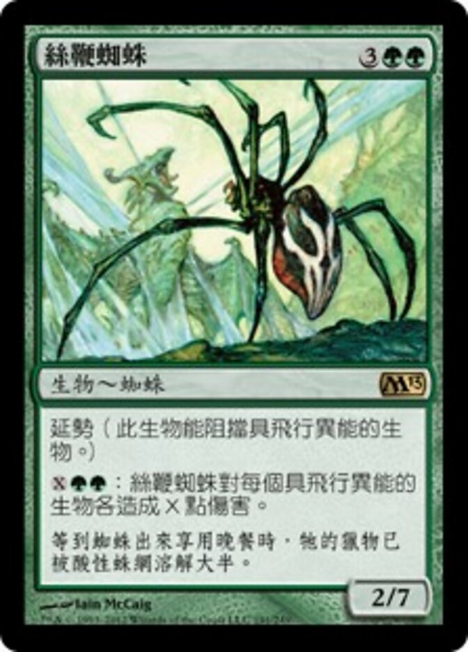 絲鞭蜘蛛