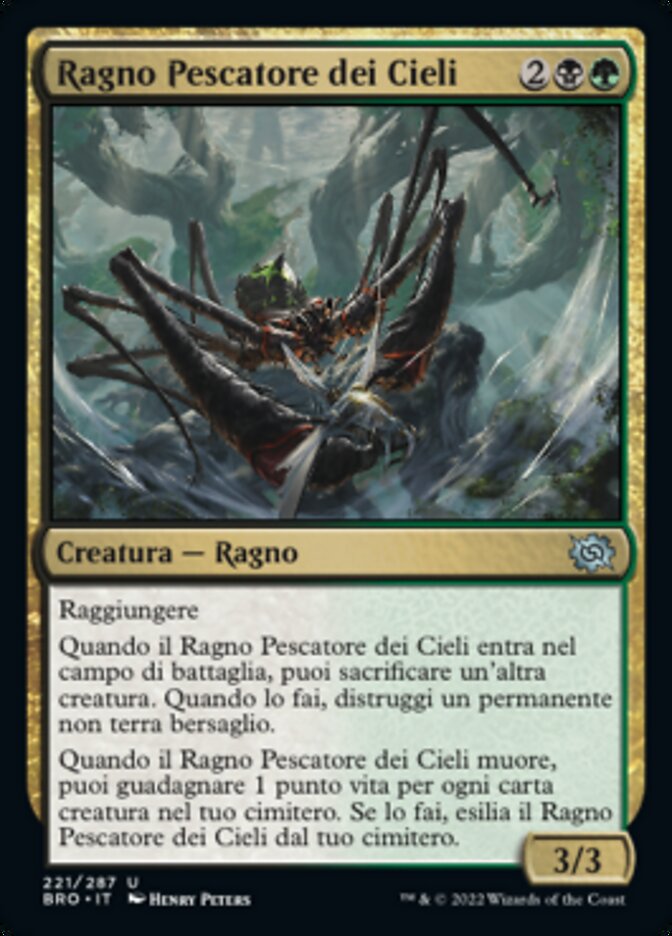 Ragno Pescatore dei Cieli