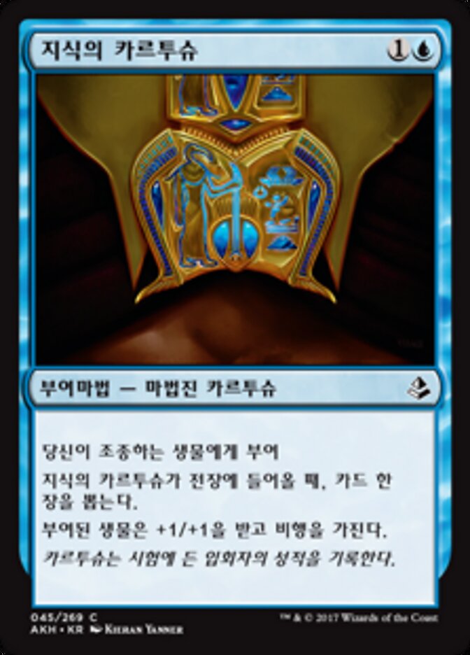 지식의 카르투슈