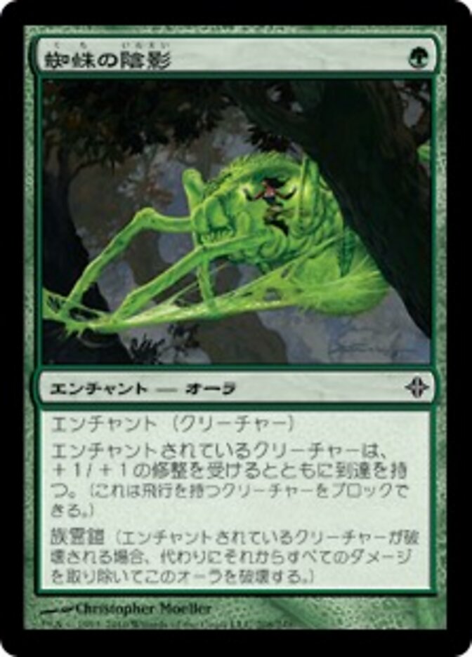 蜘蛛の陰影
