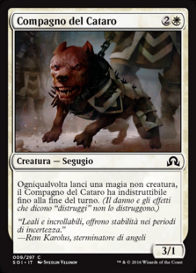 Compagno del Cataro