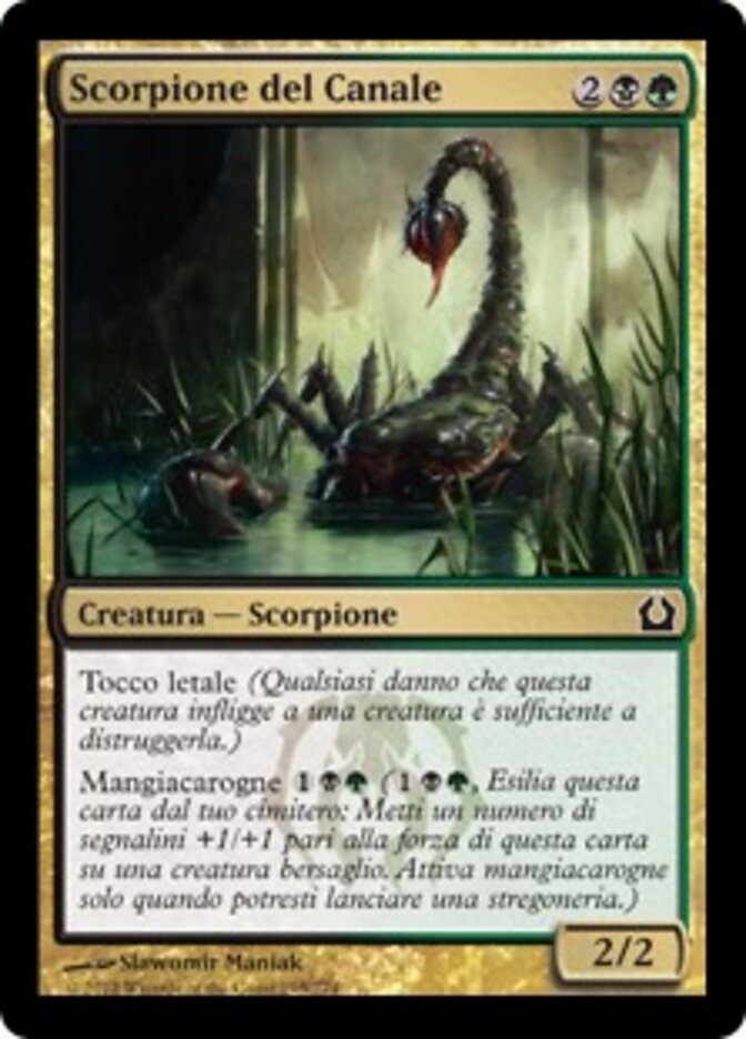 Scorpione del Canale