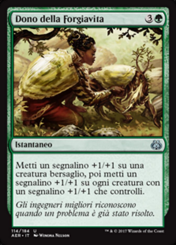 Dono della Forgiavita