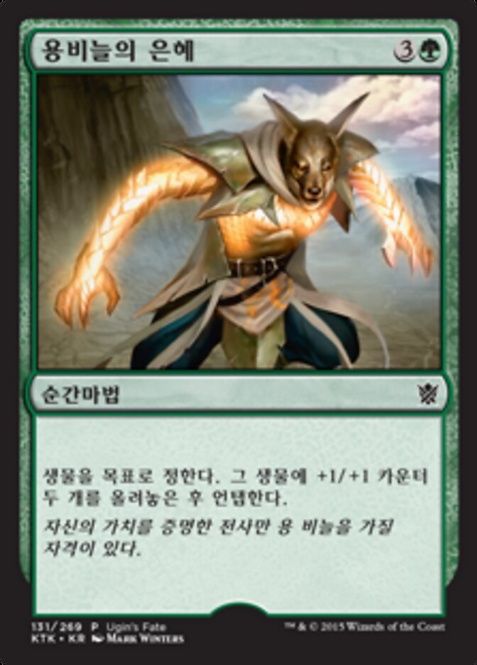 용비늘의 은혜