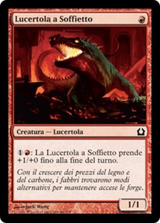 Lucertola a Soffietto