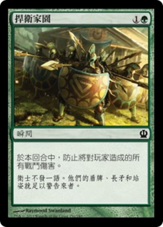 捍衛家園