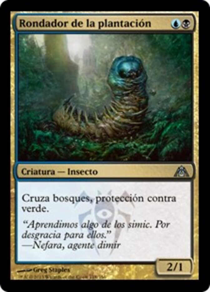 Rondador de la plantación