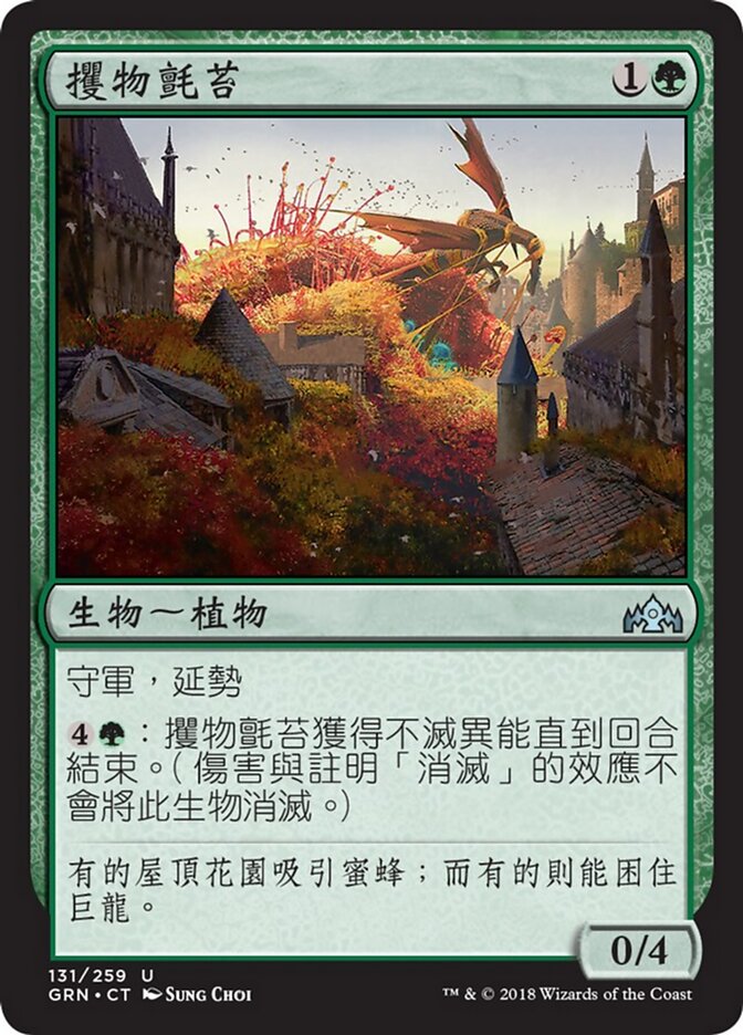 攫物氈苔
