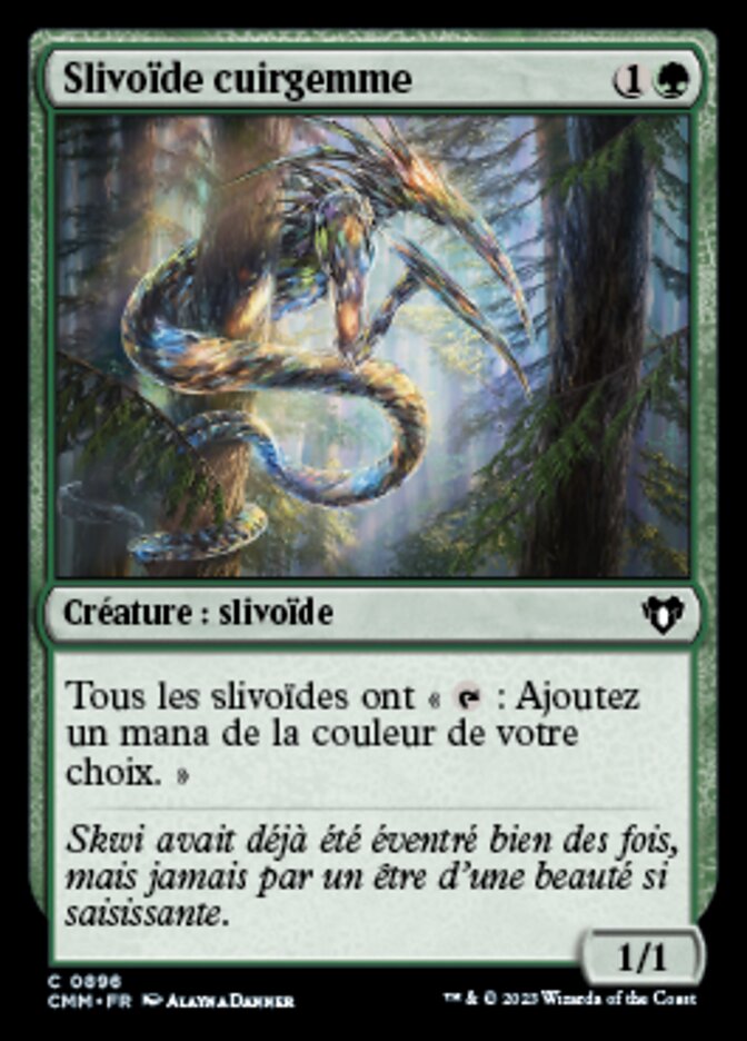 Slivoïde cuirgemme