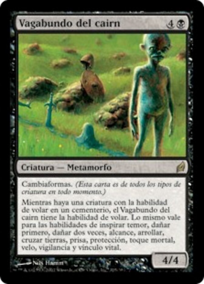 Vagabundo del cairn