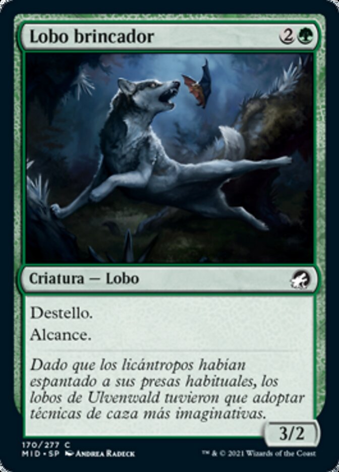Lobo brincador