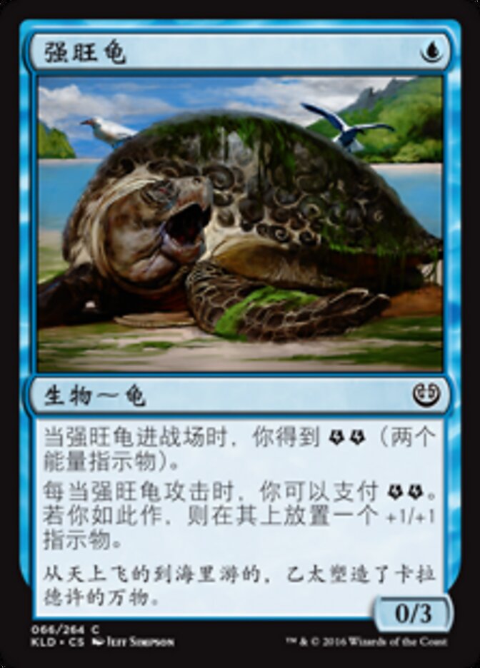强旺龟
