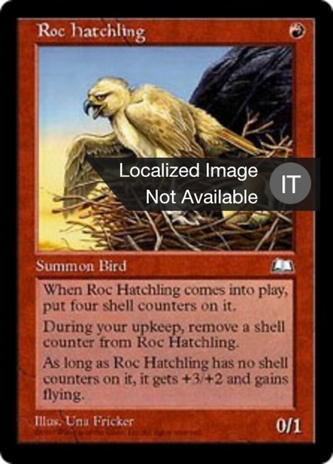 Pulcino di Roc