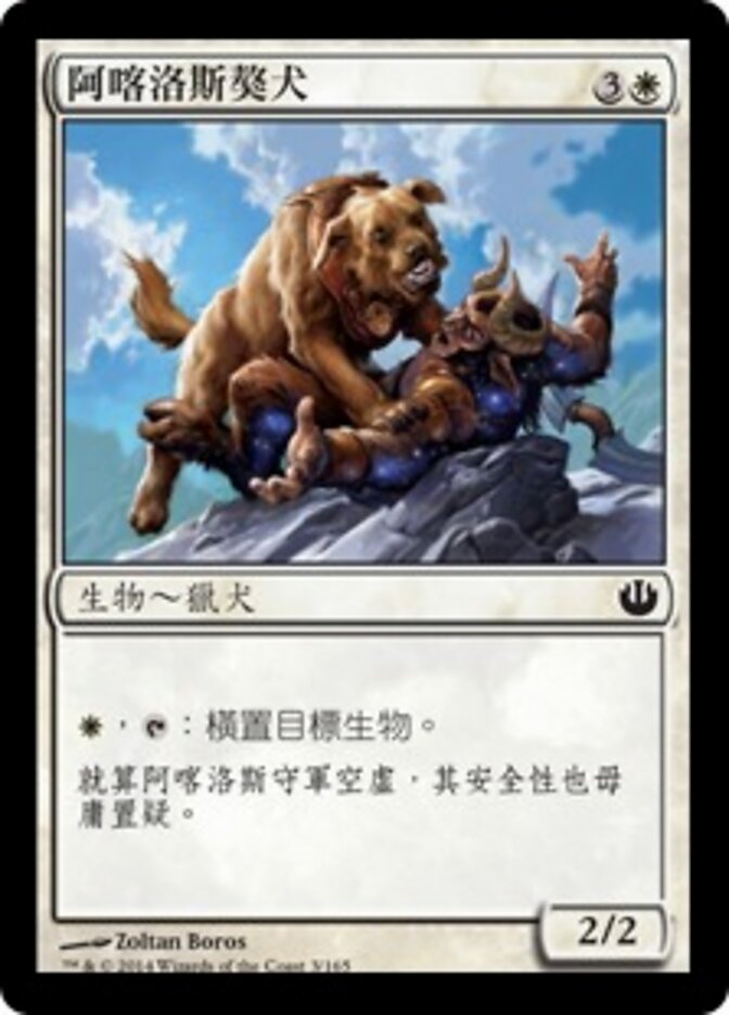 阿喀洛斯獒犬