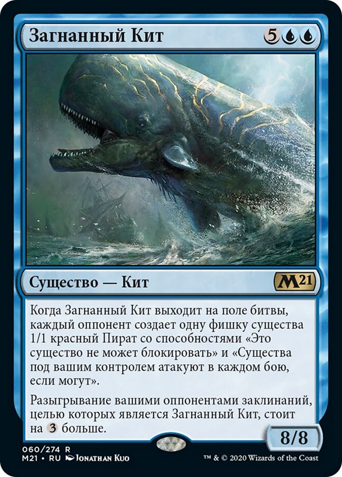 Загнанный Кит