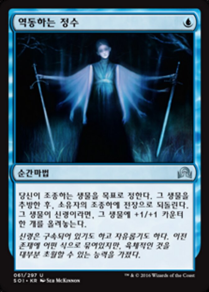 역동하는 정수