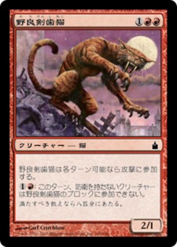 野良剣歯猫
