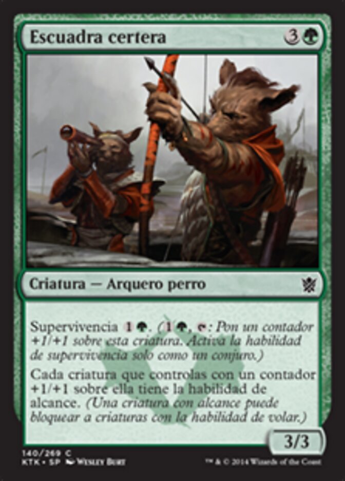 Escuadra certera