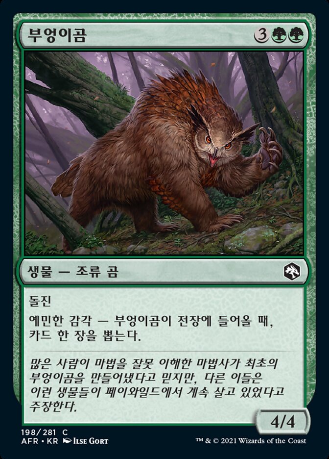 부엉이곰