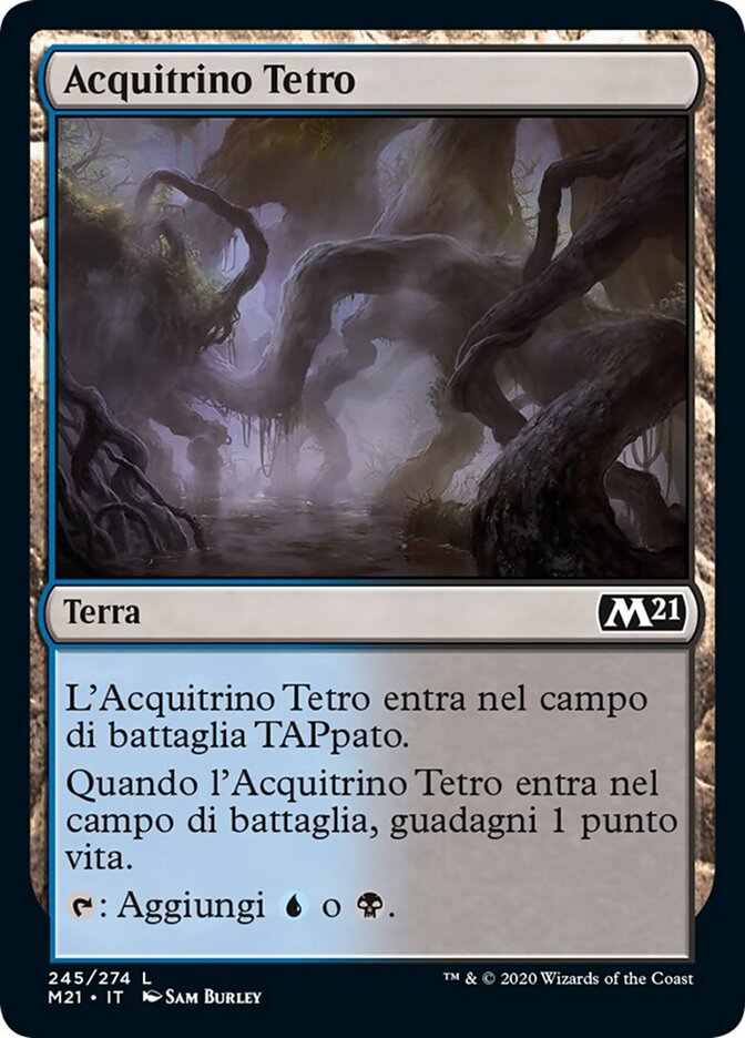 Acquitrino Tetro