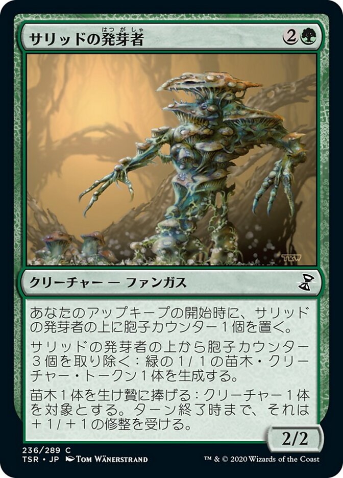 サリッドの発芽者