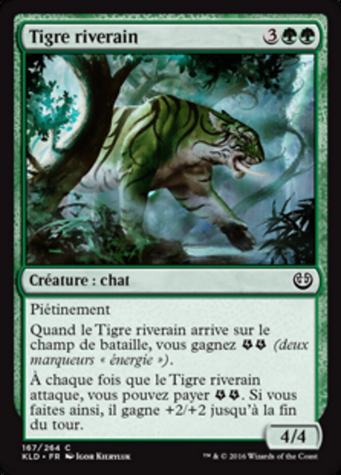 Tigre riverain