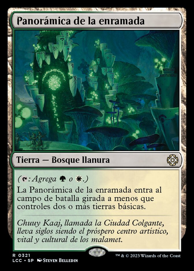Panorámica de la enramada