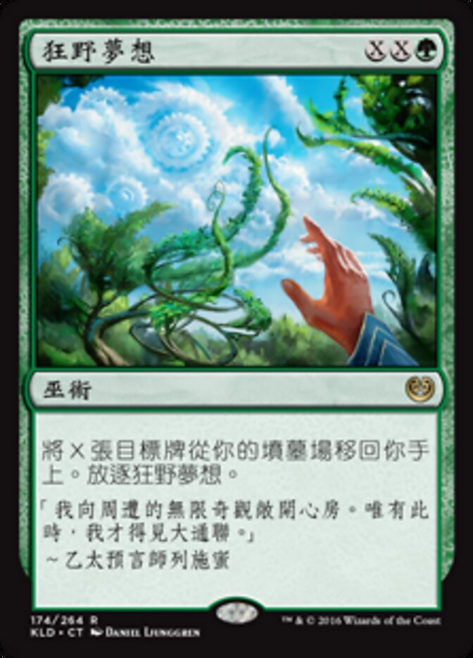狂野夢想