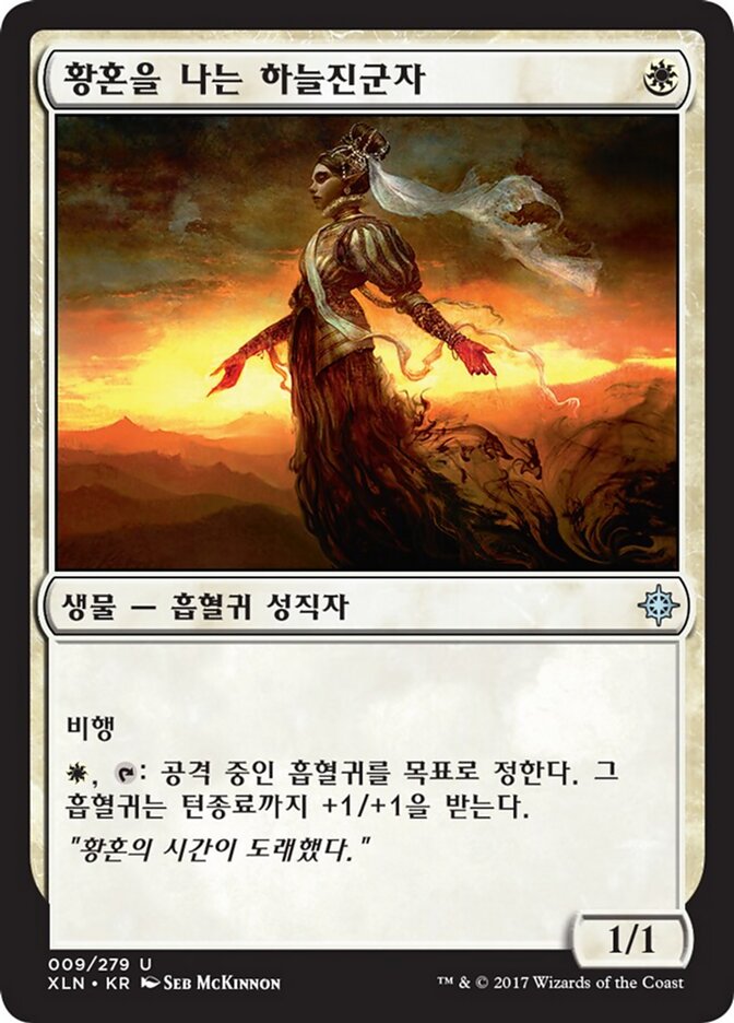 황혼을 나는 하늘진군자