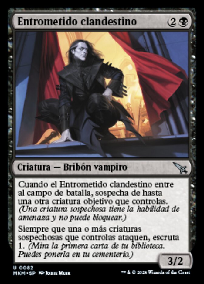 Entrometido clandestino
