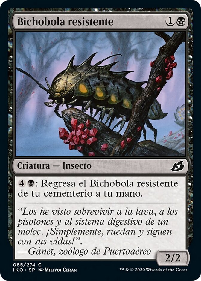 Bichobola resistente