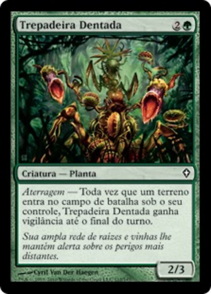 Trepadeira Dentada