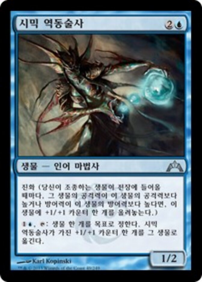 시믹 역동술사