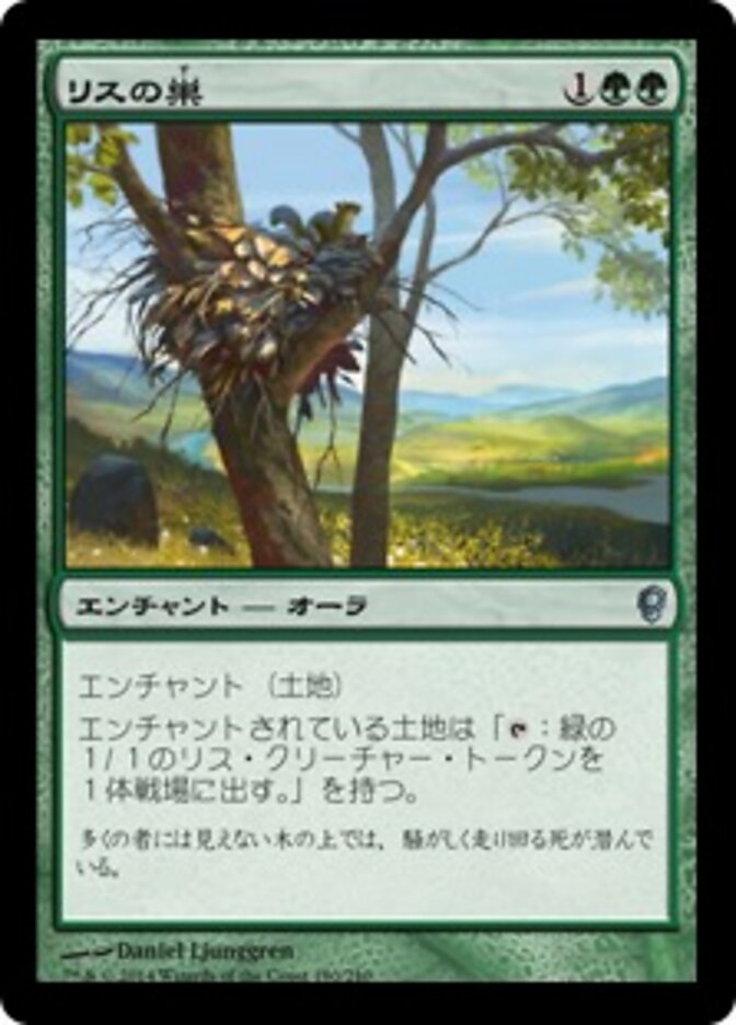 リスの巣