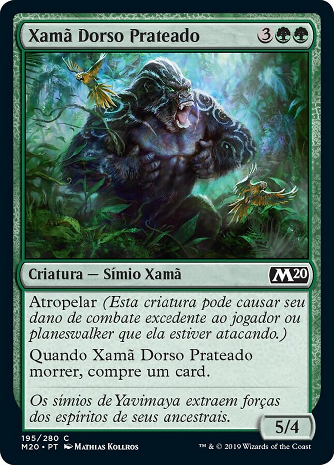 Xamã Dorso Prateado
