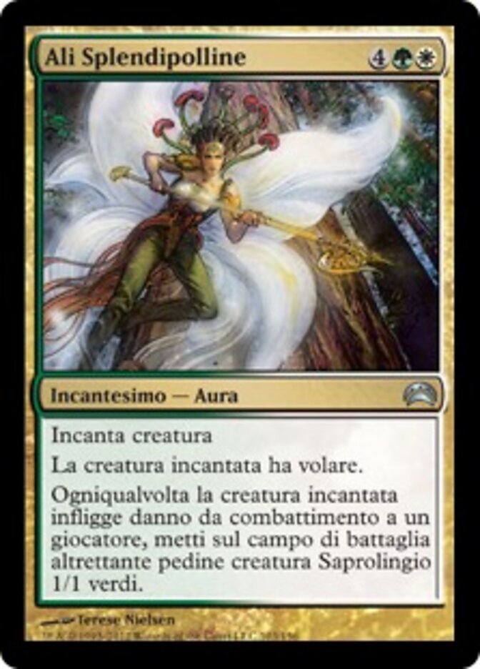 Ali Splendipolline