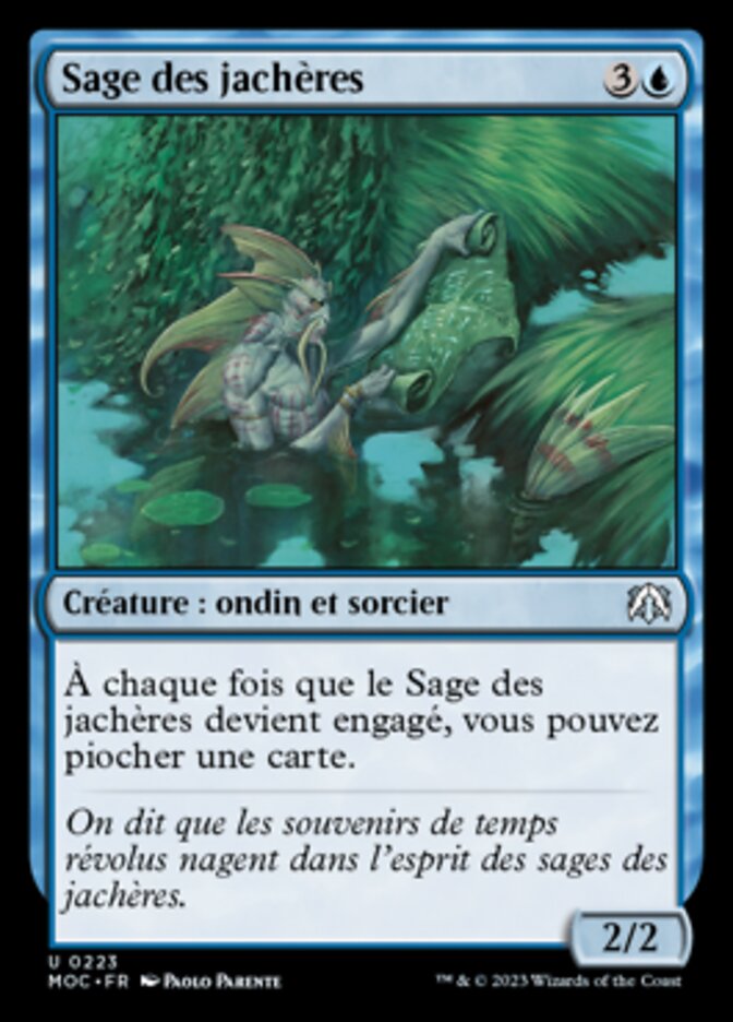 Sage des jachères