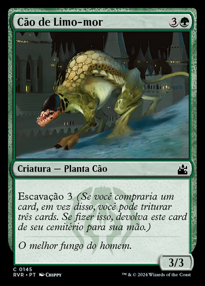 Cão de Limo-mor
