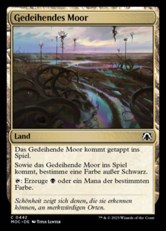 Gedeihendes Moor