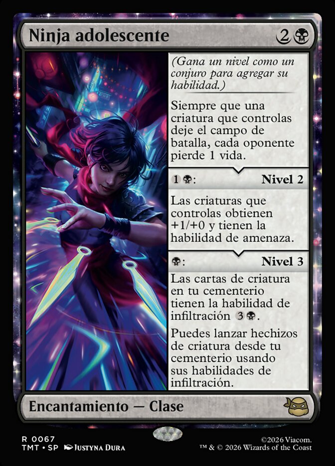 Ninja adolescente