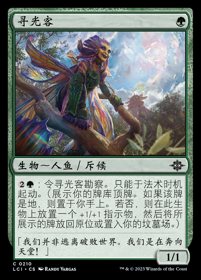 寻光客